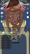 3D Bones and Organs (Anatomy) screenshot 7