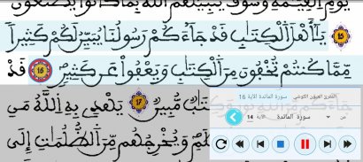 القرآن الكريم برواية ورش screenshot 8