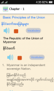 Myanmar Constitution 2008 screenshot 5