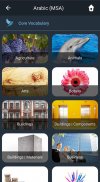 Learn MSA Arabic. Speak MSA Ar screenshot 7