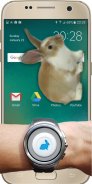 Thỏ trong điện thoại - đùa screenshot 7