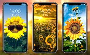 Sunflower Wallpapers screenshot 1