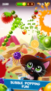 Fruity Cat: jogo de Bolhas screenshot 3