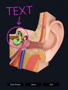 Ear Anatomy Pro. screenshot 2