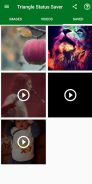 Triangle Status Saver & Downloader for  WhatsApp™ screenshot 3