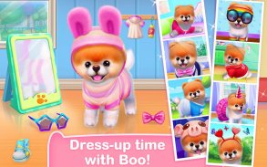 Boo - Il più bel cane al mondo screenshot 0