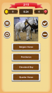 Horse Quiz screenshot 1