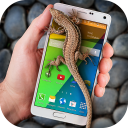 蜥蜴在手機有趣的笑話 Icon