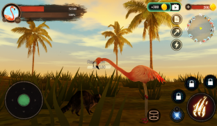 The Flamingo screenshot 8