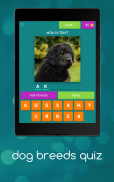 dog breeds quiz screenshot 20