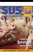 Schweinezucht und Schweinemast screenshot 5