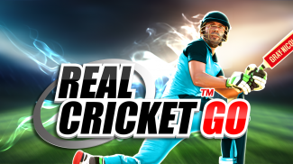 Real Cricket™ GO screenshot 5