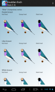 SBguide to Gouldianfinches screenshot 8