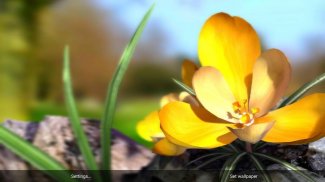 Nature Live ❁ Spring Flowers 3D screenshot 4