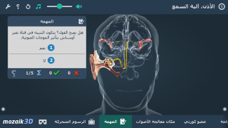 الأذن و آلية السمع 3د screenshot 4