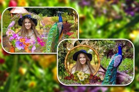 Peacock Photo Frames screenshot 7