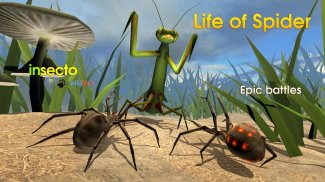 Life of Spider screenshot 3