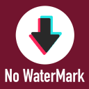 TDM - Tiktok downloader without watermark Icon