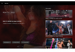 Ring of Honor screenshot 21