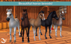 Star Stable Horses screenshot 14