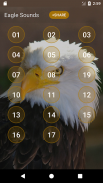 Eagle Bunyi dan Ringtones screenshot 0