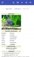 Aquariumvissen screenshot 11