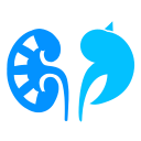 Renal Dose Adjustment & Creatinine Clearance Icon