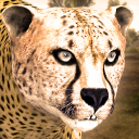 Ultimate Cheetah Simulator Icon