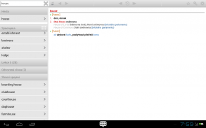 English-Czech Dictionary screenshot 16