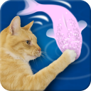 Friskies® Cat Fishing Icon