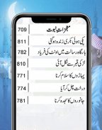 Seerat Un Nabi Urdu Book screenshot 3