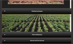 Cultivation of Cotton Plants screenshot 3