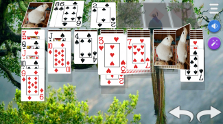 Solitaire 3D - Solitaire Game screenshot 6