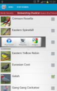 Australian Birds Sounds Free screenshot 11