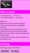 Pregnancy calculator screenshot 2