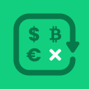 Flip Currency Converter Icon