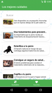 Como cuidar a un perro screenshot 1