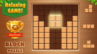 Wood Block Puzzle - Puzzle Game screenshot 2