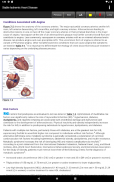 Pharmacotherapy Principles and Practice, 5/E screenshot 11