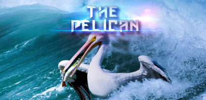 The Pelican