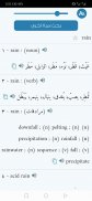 Almaany english  dictionary screenshot 1