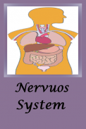 Nervous System screenshot 0