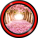 Romantic Live Wallpapers Icon