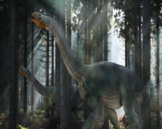 Dinosaur Jigsaw Puzzles Kids screenshot 11