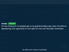 Ordboka screenshot 2