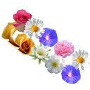 Fun flowers puzzle rose flower edition Icon