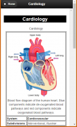 Basic Cardiology screenshot 3