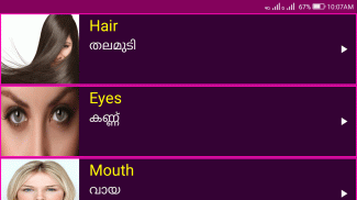 Learn English from Malayalam screenshot 8