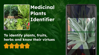 Plantas medicinais identificar screenshot 5