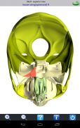 Visual Bones screenshot 4